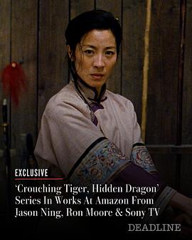 卧虎藏龙(剧版) Crouching Tiger, Hidden Dragon