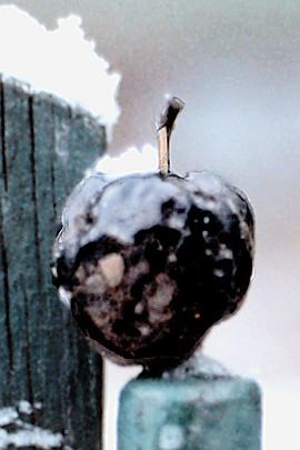 光年擴展 Light Years Expanding