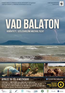 巴拉顿湖：欧洲大陆的隐秘天堂 Vad Balaton - Kibővített moziváltozat