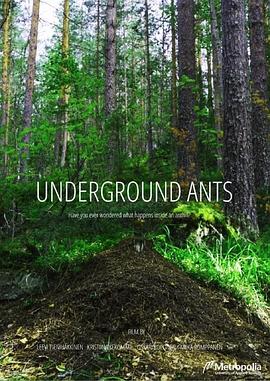 地下蚁群 Unerground Ants