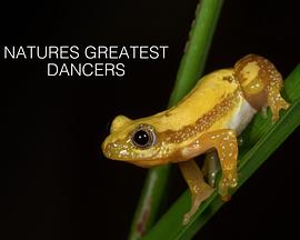 自然界的超级舞者 第一季 Nature's Greatest Dancers Season 1