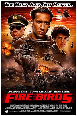 火鸟出击 Fire Birds