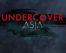 亚洲无间道 第十一系列 Undercover Asia Season 11