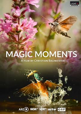 自然的奇妙时刻 Nature's Magic Moments
