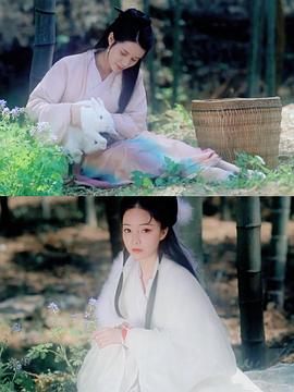 医女和兔子精