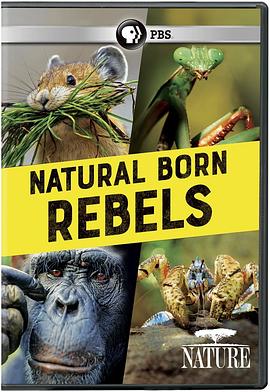 你这个坏怂 Natural Born Rebels