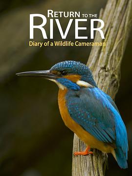 Return to the River: Diary of a Wildlife Cameraman