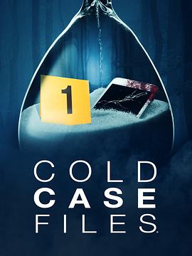 悬案档案 第四季 Cold Case Files Season 4