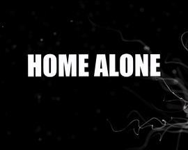 独自在家 Home Alone