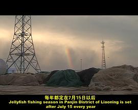躁动