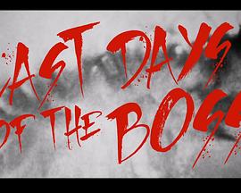 黑帮老大最后的日子 Last Days of the Boss