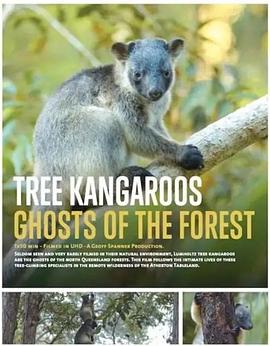 树袋鼠的生存智慧 Tree Kangaroos: Ghosts of the Forest