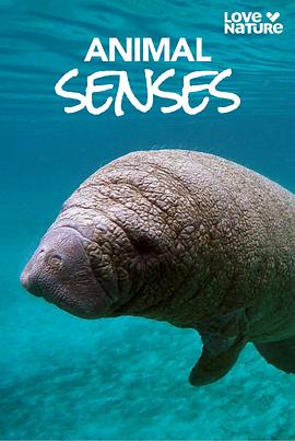 Animal Senses Season 1