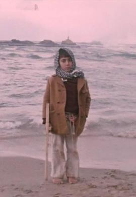 战争的孩子 Les enfants de la guerre