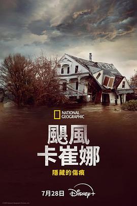 飓风卡特里娜：隐藏的伤痕 Hurricane Katrina: Race Against Time