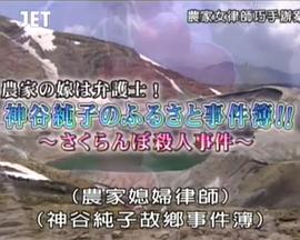 农家女律师巧手办案 農家の嫁は弁護士！ 神谷純子のふるさと事件簿①