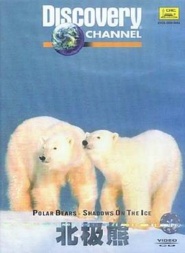 北极熊：冰上魅影 Polar Bears: Shadows on the Ice