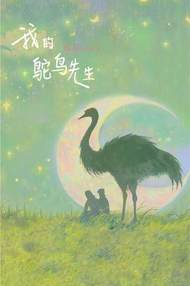 我的鸵鸟先生