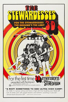 空中小姐 The Stewardesses