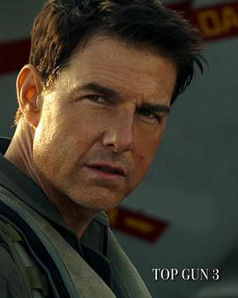 壮志凌云3 Top Gun 3