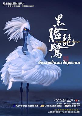黑脸琵鹭
