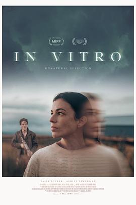 体外实验 In Vitro