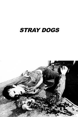 流浪狗 Stray Dogs