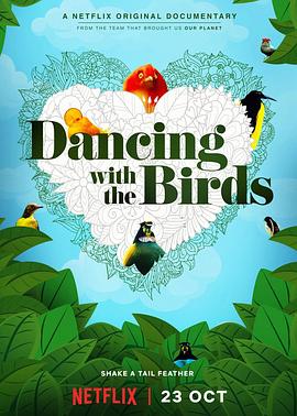 与鸟共舞 Dancing with the Birds