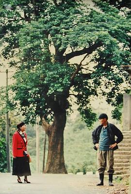 我的一票选总统 我的一票選總統