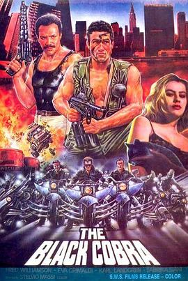 眼镜蛇大行动 The Black Cobra