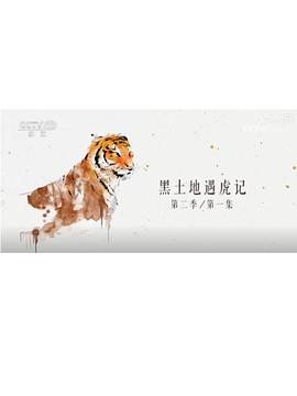 黑土地遇虎记（第二季）