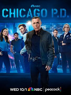 芝加哥警署 第十三季 Chicago P.D. Season 13