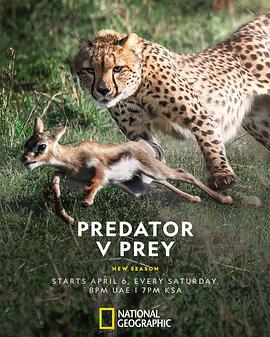掠食者联盟 第一季 Predator v Prey Season 1