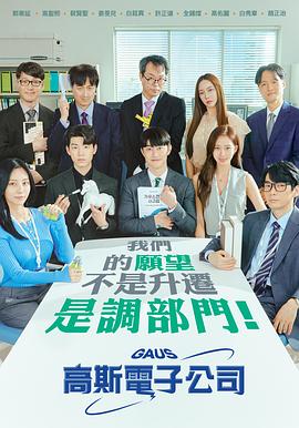 高斯电子公司 가우스전자