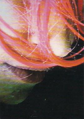 Femme de pluie (I Am Called A Plant)