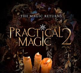 巫法闯情关2 Practical Magic 2