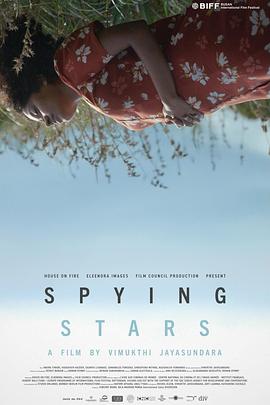龟之凝视，窥探星辰 Turtle's Gaze on Spying Stars