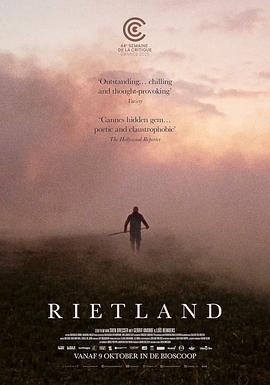 芦苇荡 Rietland