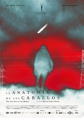马的解剖学 La anatomía de los caballos