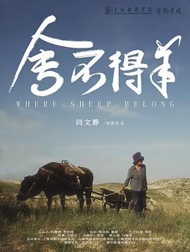 舍不得羊
