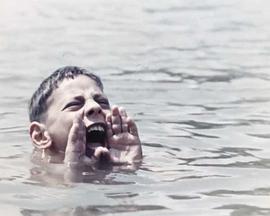 Le Chant des fossés