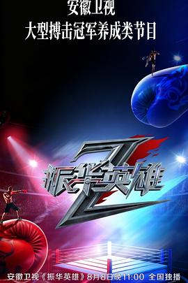 安徽卫视振华英雄 振华英雄