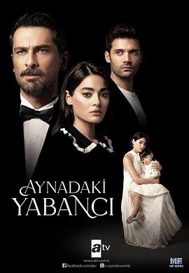 镜中陌生人 Aynadaki Yabancı