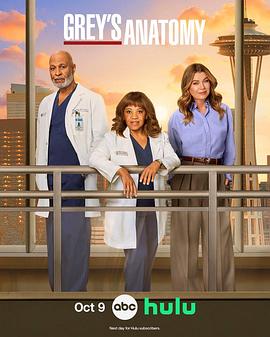 实习医生格蕾 第二十二季 Grey's Anatomy Season 22