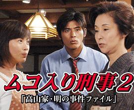 ムコ入り刑事 高山家・明の事件ファイル2