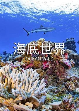 海底世界 Ocean Wild