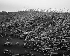 最后一张照片 The Last Photograph