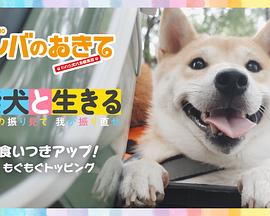 与柴犬共度时光～观犬品，正己行～ 柴犬と生きる～シバの振り見て、我が振り直せ～