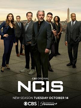 海军罪案调查处 第二十二季 NCIS: Naval Criminal Investigative Service Season 22