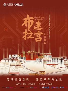 布达拉宫 时空解码